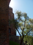 hpim3345