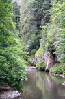IMG 6658