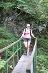 IMG 6678
