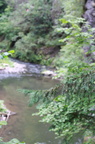 IMG 6695