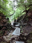 IMG 20170706 114601